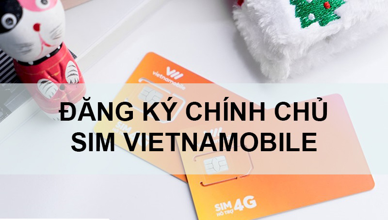 Cách Kiểm Tra SIM Chính Chủ Vietnamobile