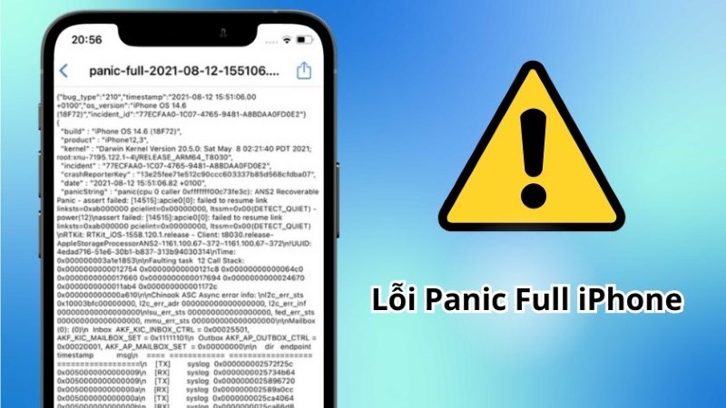 Lỗi Panic Full iPhone là gì?